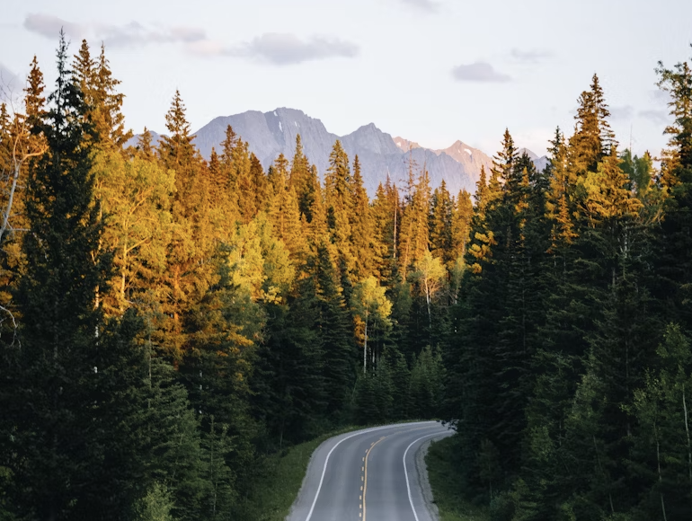 A person navigating a complex maze, representing the hidden curriculum.